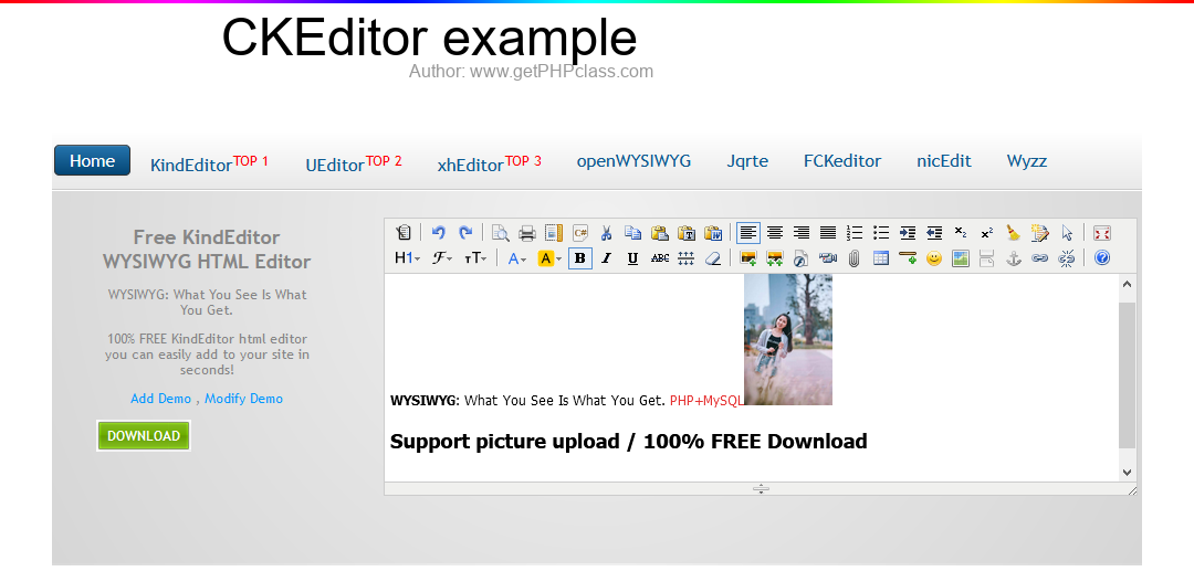 CKEditor example image 1