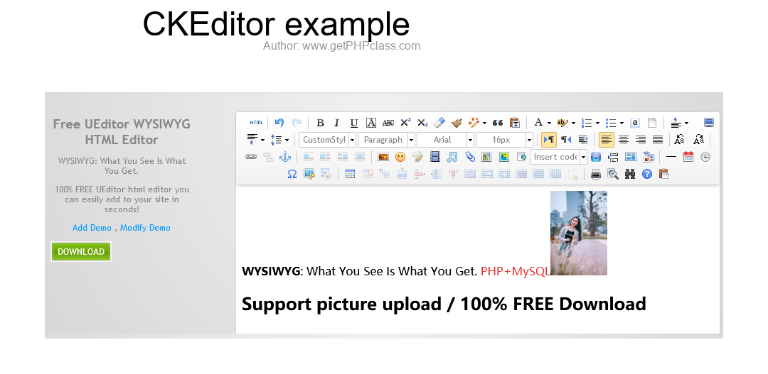 CKEditor example image 2