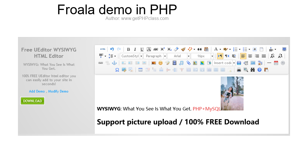 Froala demo in PHP image 2