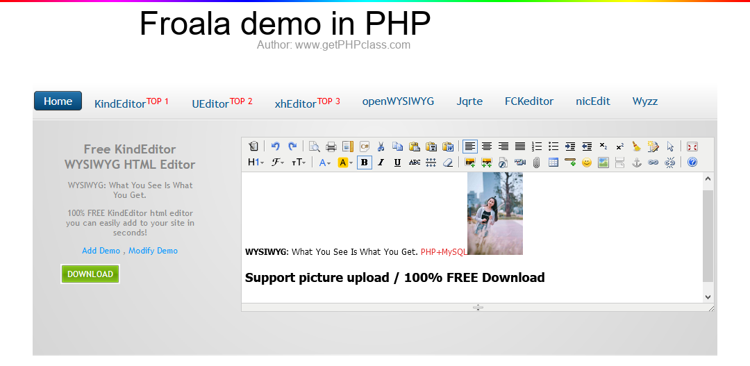 Froala demo in PHP image 1