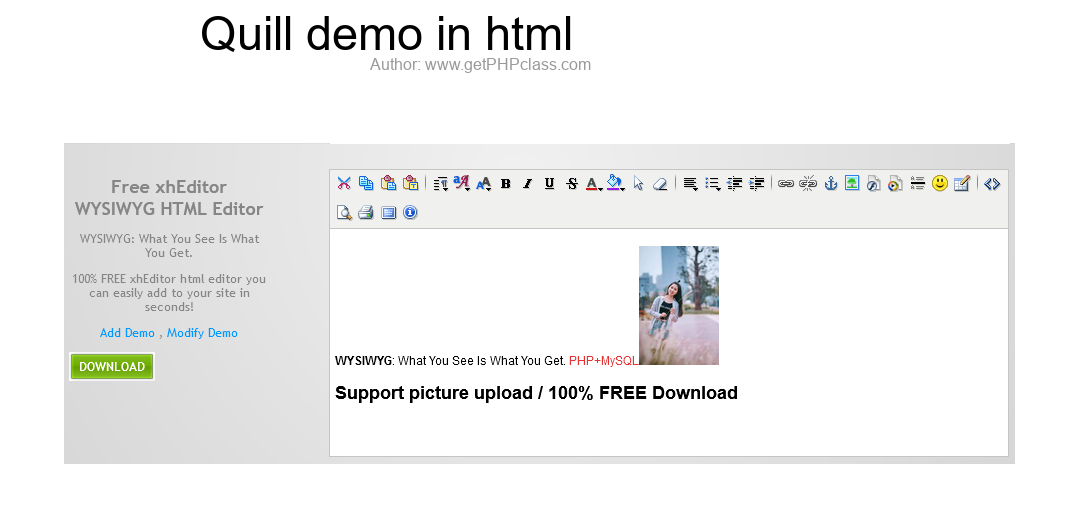 Quill demo in html image 2