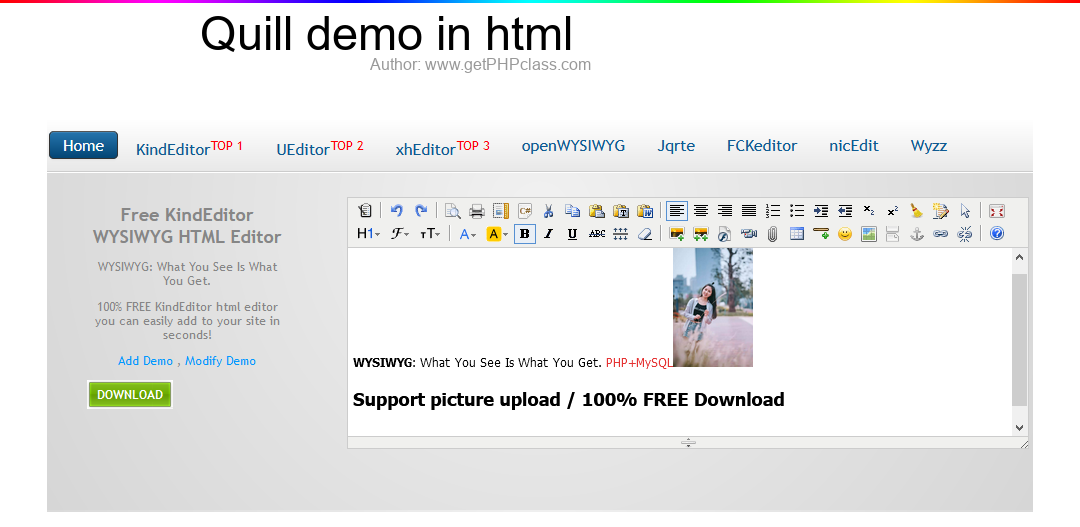 Quill demo in html image 1