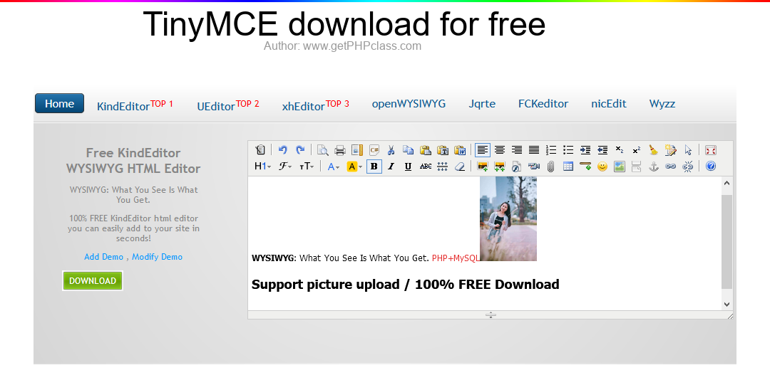 TinyMCE download for free image 1